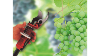 Βιομηχανικοί εμβολοφόροι αεροσυμπιεστές KAESER στην αμπελουργία.